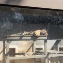 히딩크모텔 이미지