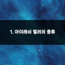 데일리아이래쉬 이미지