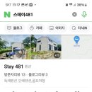 스테이481 이미지