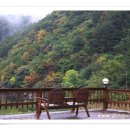 강변통나무펜션 이미지