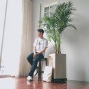 하즐러