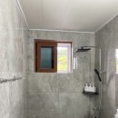 레드클로버 이미지