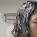 두피케어 샴푸추천, 어성초 티트리 민감성 두피 쿨링 케어 샴푸 사용후기