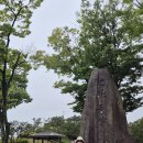 울진 도화동산(7.18.토) 이미지
