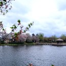 지방도70호선(2) 이미지