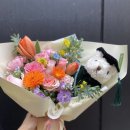 이대부속유치원 이미지