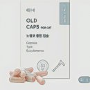 포캣(for cat) | 고양이 노령묘 종합 영양제 한알관리 올드캡스포켓