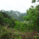 창수초교 이미지