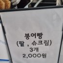 뉴셀붕 이미지