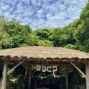 초가마당 | [제주민속촌]아이랑 강아지랑 제주민속촌 즐거운 제주 전통 여행팁⭐