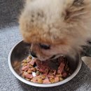 라이펙스 이미지