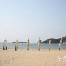 송림비치투어