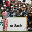 갤러리캣 이미지