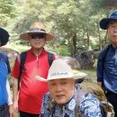 제425차 關門溪谷 8.19(火) 定期山行 이미지