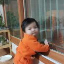 능주어린이집 이미지