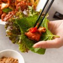 김경주 춘천닭갈비상회 | 캠핑 음식 준비물 고민 끝! 춘천 닭갈비 맛집 양념장 그대로 담은 밀키트