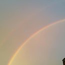 서울사랑요양병원 이미지