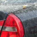 워시매니아 이미지