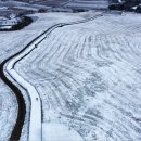 하늘내린한우 이미지