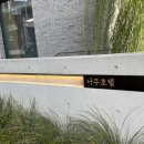 나무호텔 이미지