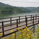 성거-06 | [천안] 천흥저수지_금계국 만발한 천안 가볼만한 곳!!