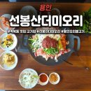 (주)선봉 | 용인 역북동 맛집 고기집 선봉산더미오리 매콤 산더미오리불고기 둘이서 먹은 점심