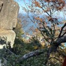 향일암로 이미지