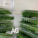 AG농장 이미지