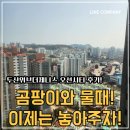 오션컴퍼니 | 두산위브더제니스 오션시티 줄눈시공 후기 :)