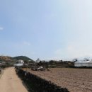 김앤김공인중개사사무소 이미지