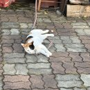 우리동네과일가게 - 김해시 금관대로1134번길 20 | 우리동네과일가게