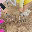 몽산포패밀리데이캠핑장 이미지