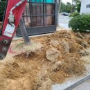 대학본부동 이미지