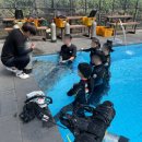 이영중 | 제주도 서귀포 스쿠버다이빙 버블탱크에서 오픈워터 취득후기