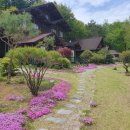 별천지하임 이미지