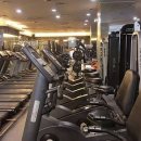 메이저휘트니스클럽 이미지