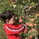 가나안농장2농장 이미지