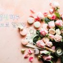 꽃 - 서구 승학로495번길 4-14 | 꽃