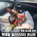 셀러브리티 | 펫테일 셀러브리티 카시트 후기, 조수석 쏠림까지 솔직 후기