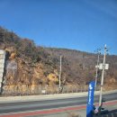 힐링애견샵 이미지