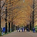 담양에코센터 이미지