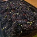 럭키청과 이미지