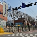 옐로카펫 이미지