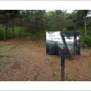 청송심씨묘역 이미지