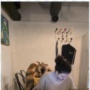 실전처럼 배우는 생활영어 이미지