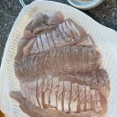 전곡항 수산물센터 1층 | 대부도 회센터 전곡항 수산물센터 회포장 내돈내산