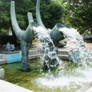 금관종합정비 이미지