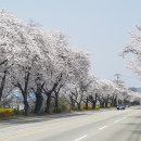 나의길