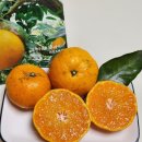 라포르하례 이미지