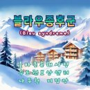 블라우(Blau) 이미지